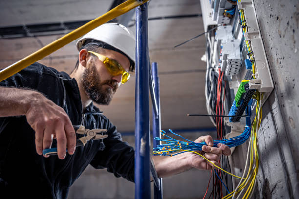 Best Electrical Upgrades for Homes  in Lake Ripley, WI