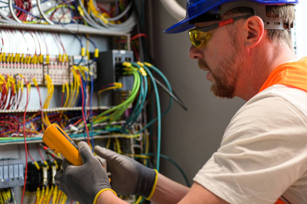 Best Electric Panel Repair  in Lake Ripley, WI